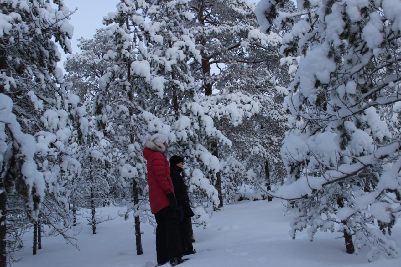 Studio Kaarto Rovaniemi Exterior photo